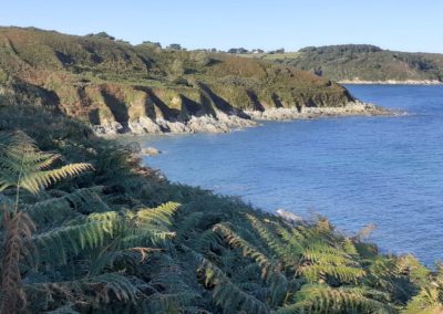 Falaise de Locquemeau
