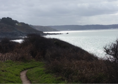 Sentier qui longent les falaises de locquémeau
